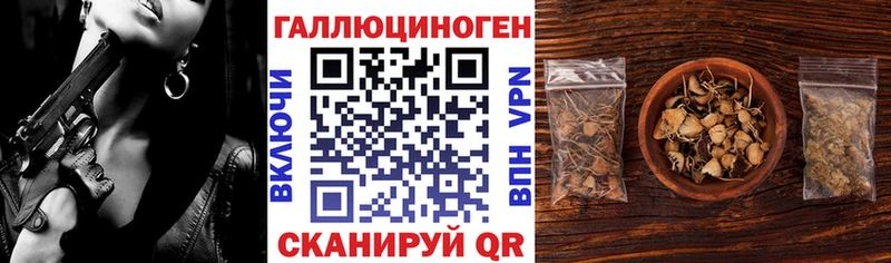 Галлюциногенные грибы Magic Shrooms  купить наркотики сайты  Кузнецк 